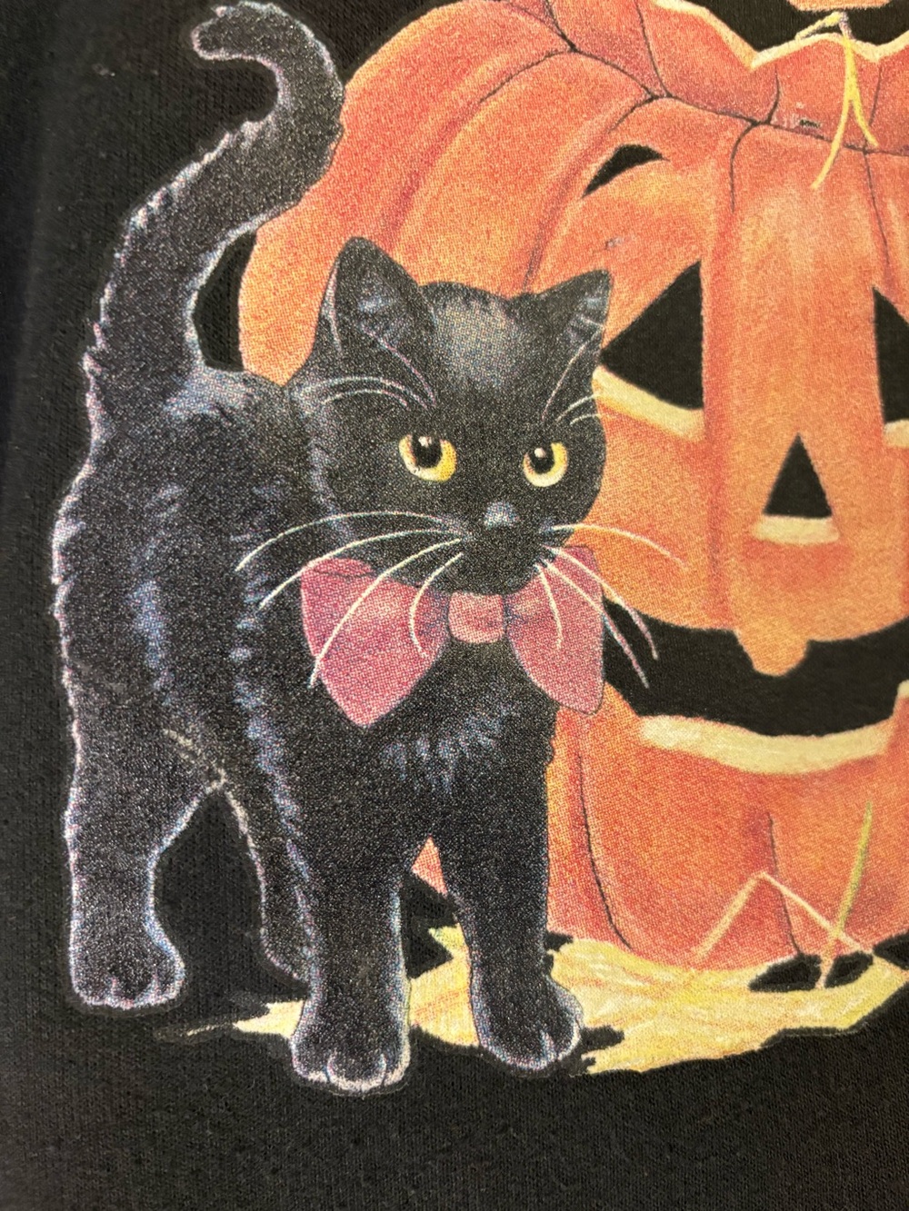 Y2K Halloween Hanes Black Cat Pumpkin Jack O Lantern Sweatshirt M - Picture 4 of 5